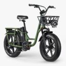 Fiido T1 Pro Vélo électrique Cargo