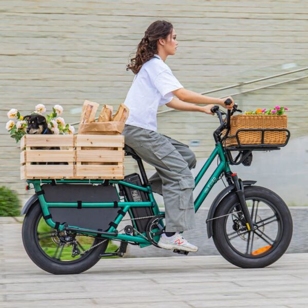 Fiido T2 Vélo électrique Longtail Fatbike Cargo – Image 11