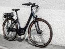 Trek Verve+ 2 Lowstep Shimano Acera/Altus 300 Wh 2022
