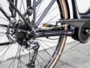Trek Verve+ 2 Lowstep Shimano Acera/Altus 300 Wh 2022