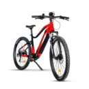 Urbanbiker Dakota PLUS FE