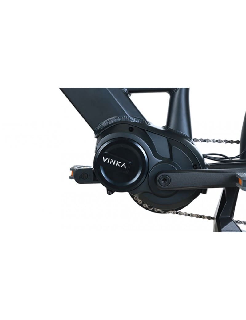 VTC Électrique T-BIRD GOLDEN GATE – Image 4