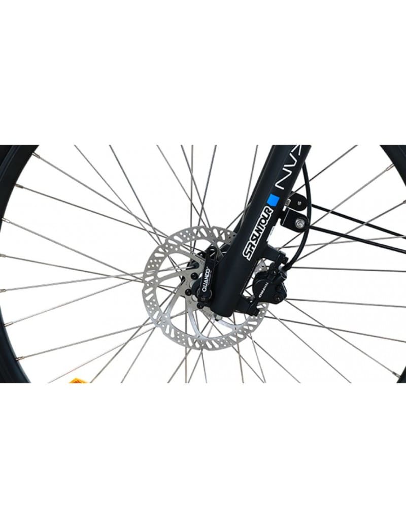 VTC Électrique T-BIRD GOLDEN GATE – Image 2