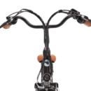 Vélo ville électrique Beaufort Birgit
